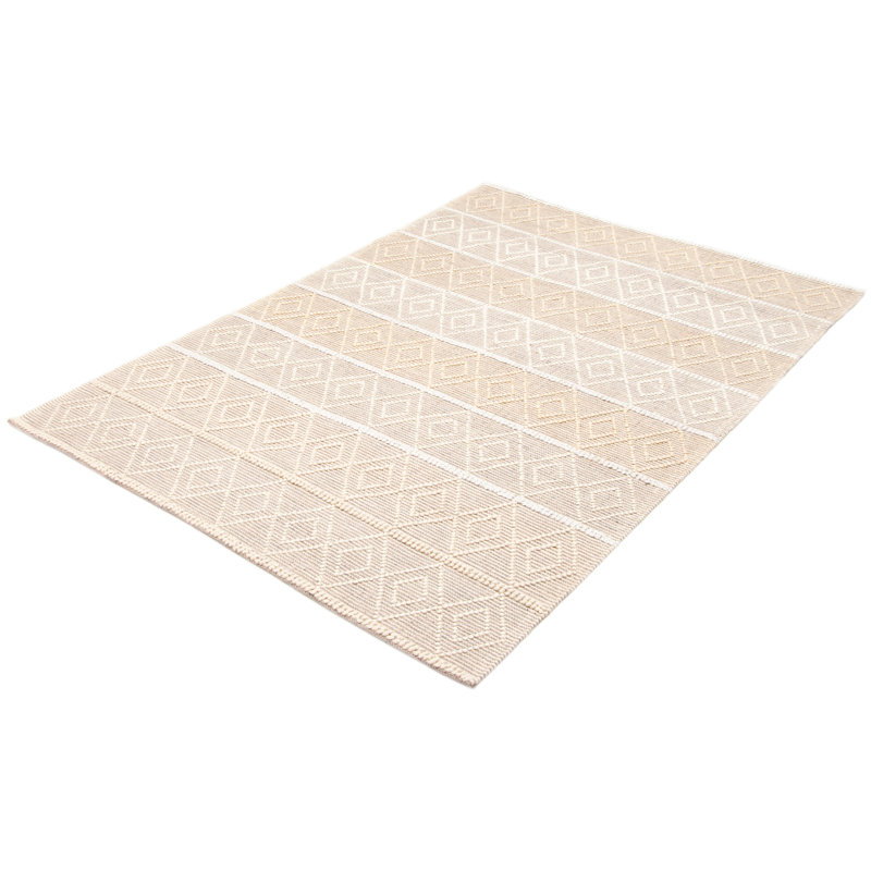 Demurjian Performance Hand Braided Wool Rug