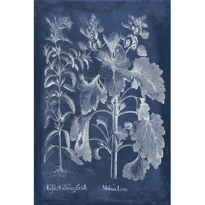 Besler Leaves In Indigo I by Vision Studio - Wrapped Canvas Print