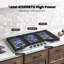 Plaque de cuisson au gaz 5 po en acier inoxydable avec plaque chauffante Master Series 36 po Master Series