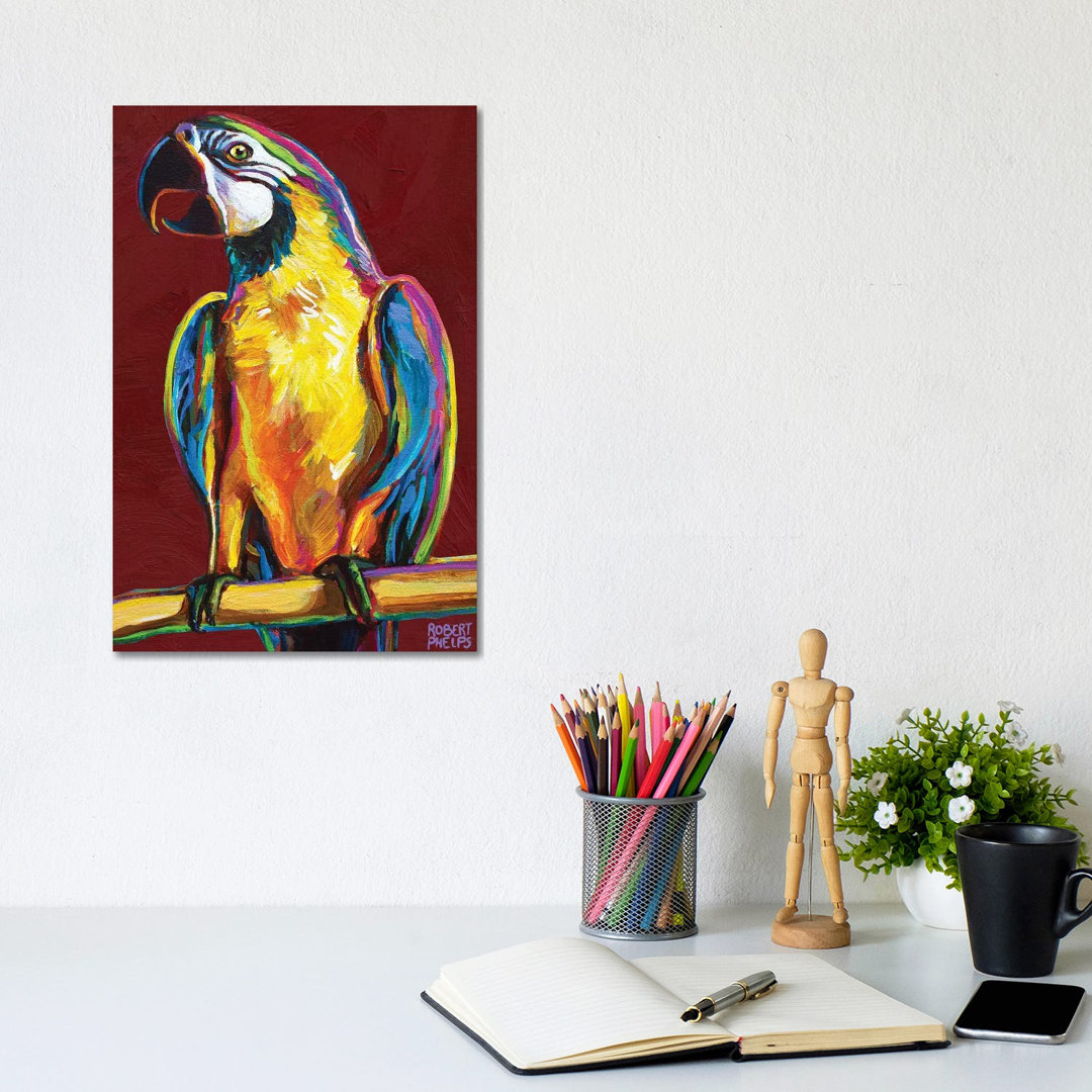 Parrot On Red by Robert Phelps - Gallery-Wrapped Canvas Giclée on Canvas