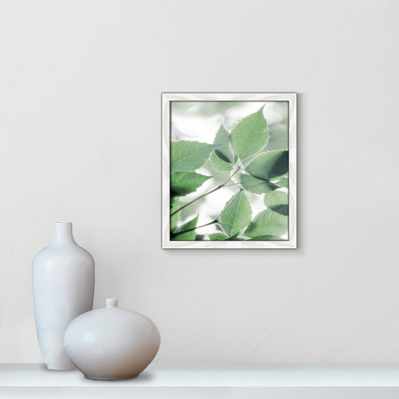 Fields of Greens Fields of Green I - cadre photo, impression, H 15 po x l 13 po x P 0,75 po, Cadre blanc