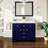 Odilion 44" Double Bathroom Vanity Set-365653867