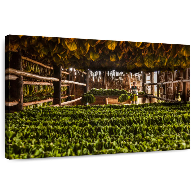 Harnek Tobacco Barn, 24" H x 36" W