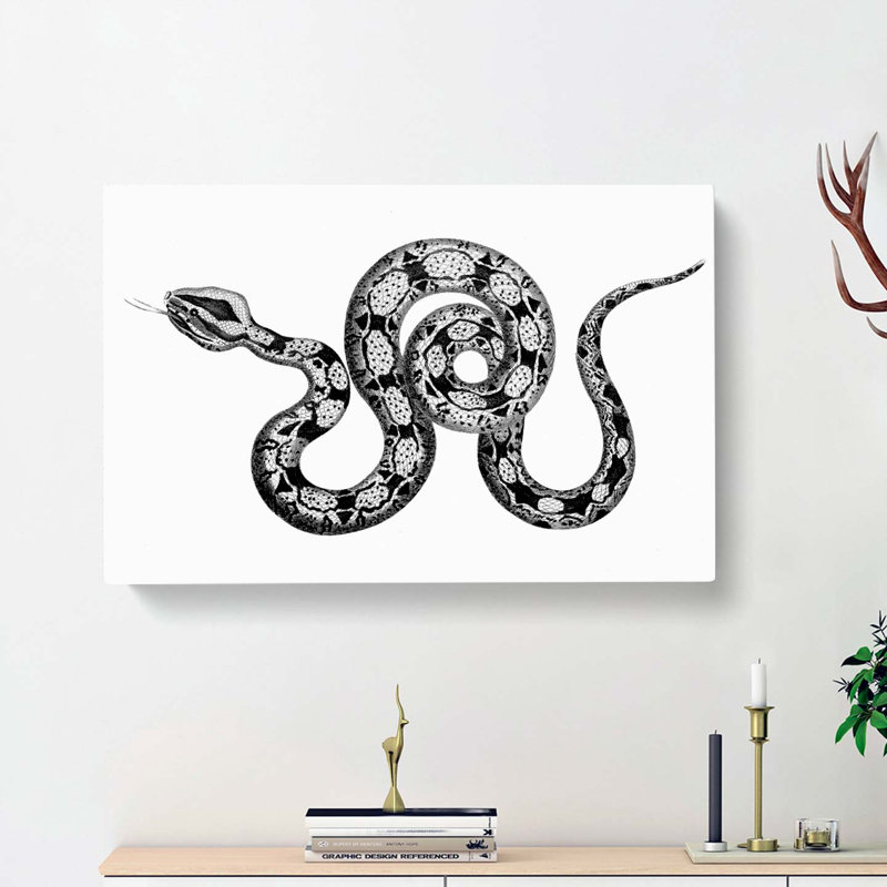 Boa Constrictor Snake in Black & White by George Shaw - Wrapped Canvas Drawing - Wrapped Canvas, 40cm H x 60cm W x 3cm D