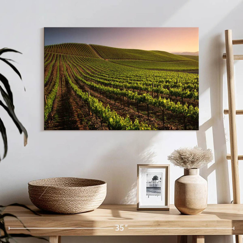 Alvord Carneros Winery, H 16 po x l 24 po