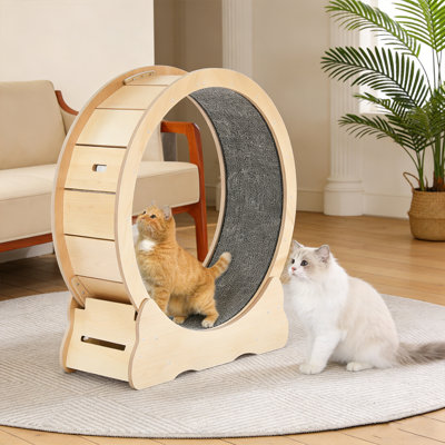Indoor Cat Wheels with Cat Stick, 36 inch Large Cat Exercise Running Treadmill Wheel with Detachable Carpeted Runway for Large Indoor Cats up to 13 lbs, Include Installation Tool, Natural