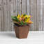 Pot à fleurs en pierre Alaunah-80148665-80148668