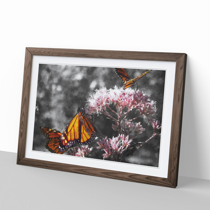 Monarch Butterflies Vol.2 Painting - Picture Frame Graphic Art, 27cm H x 36cm W x 2cm D, Walnut