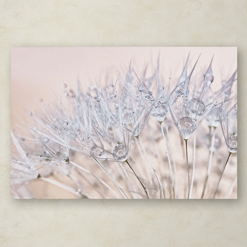 «Dandelion Dew II» par Cora Niele - reproduction de photo sur toile, H 16 po x l 24 po x P 2 po