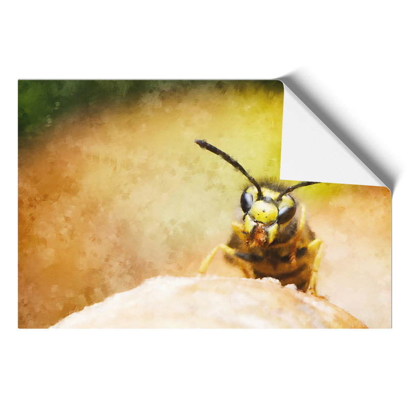 Wasp - No Frame Print, 42cm H x 59cm W x 0.1cm D