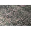 Neo Villa Oriental Area Rug in Green