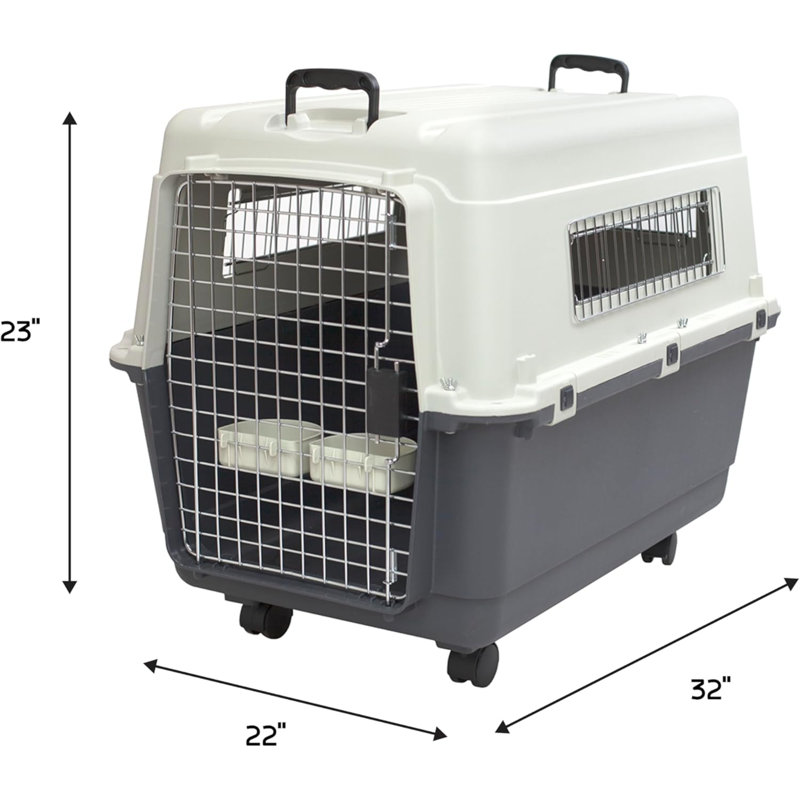 Caisse de voyage pour chien en plastique
