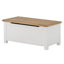 Storage Trunks
