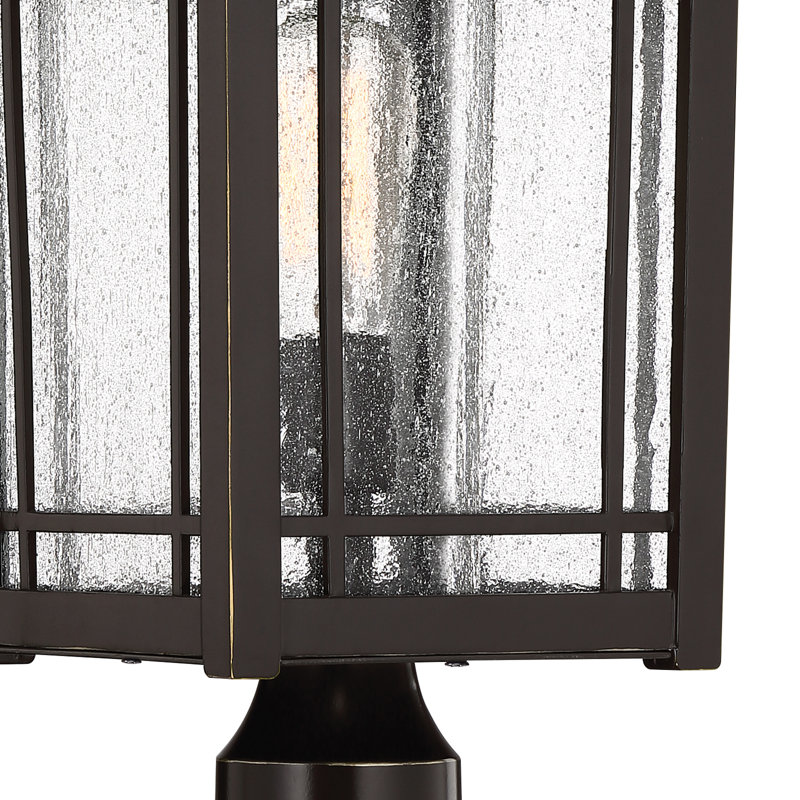 Arry Seeded Lantern Head