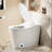 Smart Toilet With Bidet Built In, Heated Seat,Female Cleaning, Warm Water & Dry Function, Modern Tankless Toilets, ADA Comfort Height Toilet, LED Display, Foot Sensor, 1.28GPF, 1000G MAP Flush-114604928