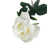 Blanc est en rupture de stock