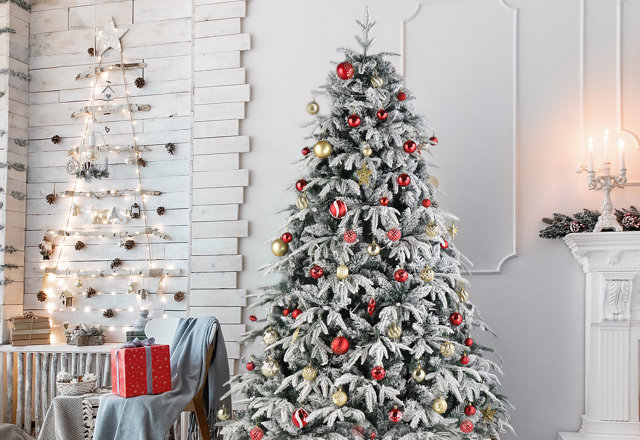 Must-Have Frosted Christmas Trees