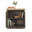 Armoire décorative 2 portes