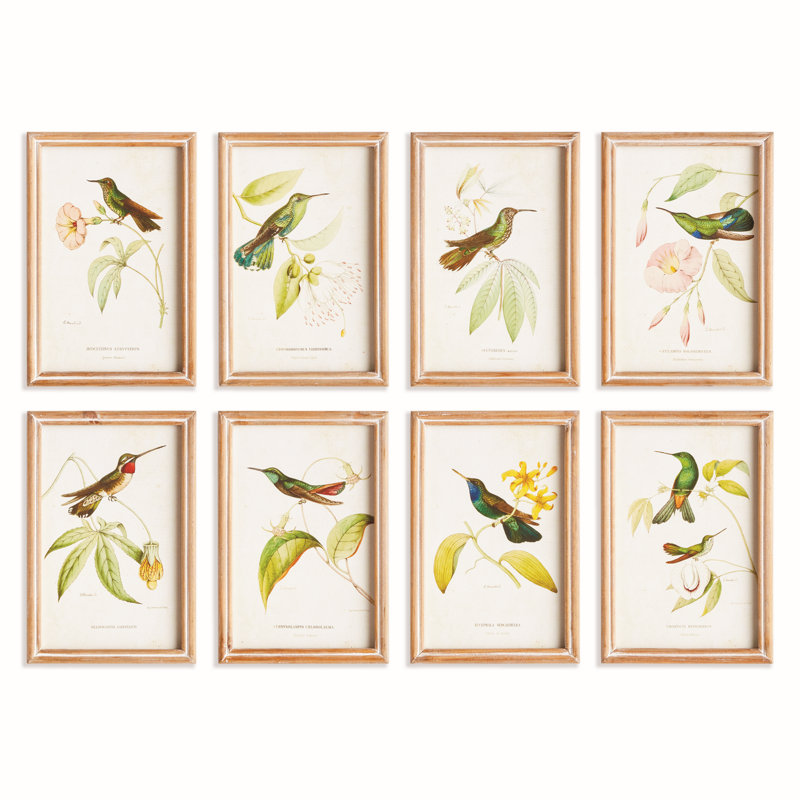 HUMMINGBIRDS IN BLOOMS STUDY, ENSEMBLE DE 8
