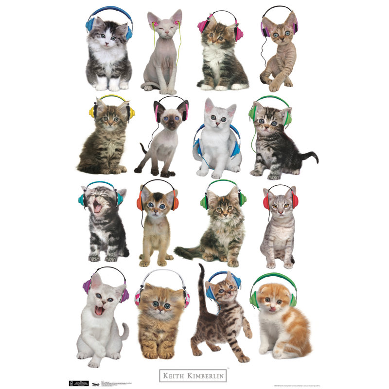 Chat-impression sur papier casque
