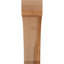 Legacy Knee Brace-64784813-64751483