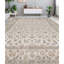 Oriental Area Rug in Ivory