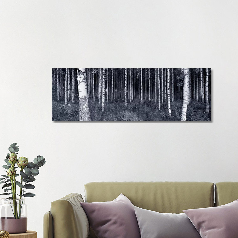 Birch Trees In A Forest, Finland - Wrapped Canvas Panoramic Print, 121.92 cm H x 40.64 cm W x 1.91 cm D