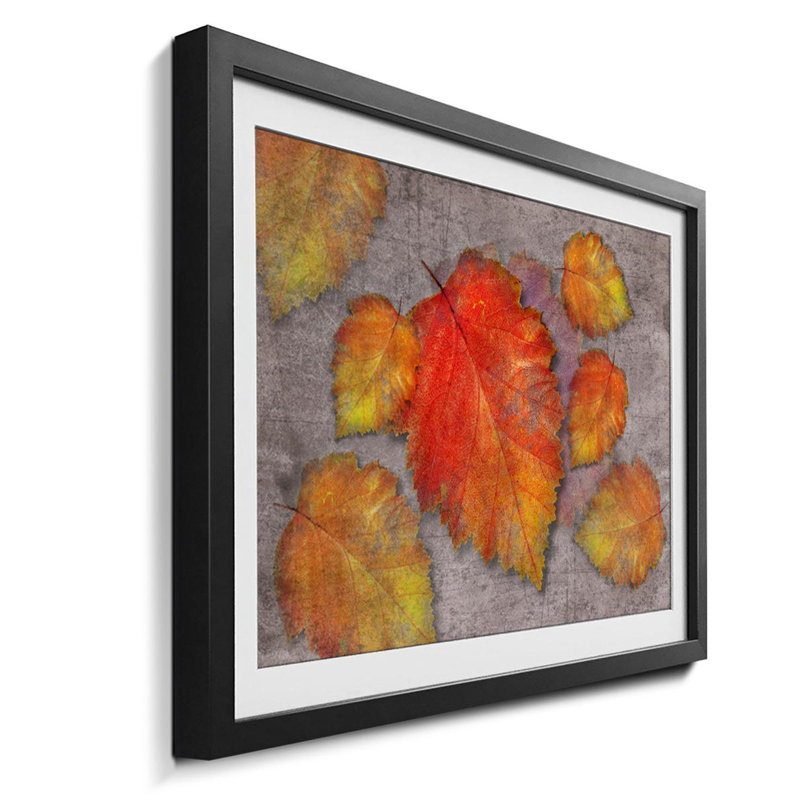 Streetart Leaves - Single Picture Frame Print, 64cm H x 84cm W x 2.2cm D