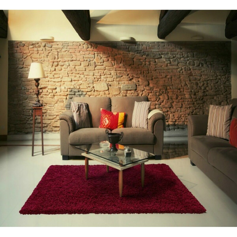 Aanuoluwa Solid Colour Shag 160cm X 230cm Indoor / Outdoor Area Rug
