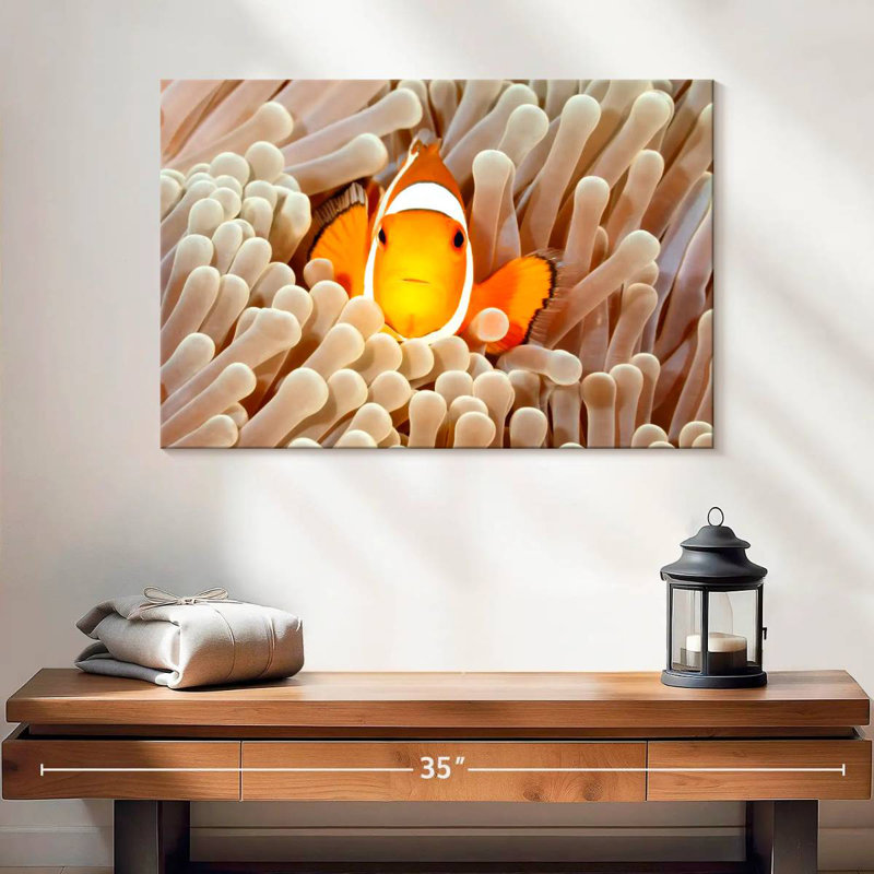 Anémone Clownfish, H 16 po x l 24 po