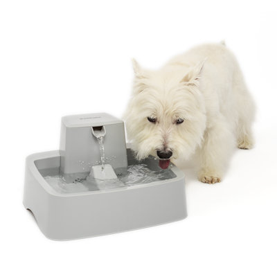 Drinkwell® Gallon Pet Fountain