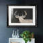 Brow Tine Deer I, impression encadrée sur papier-479795738-479795739