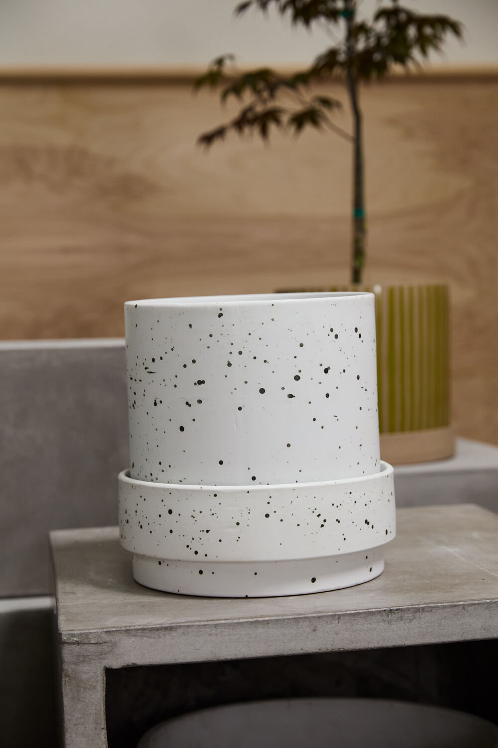 Ceramic Pot Planter, 10" H x 10" W x 10" D