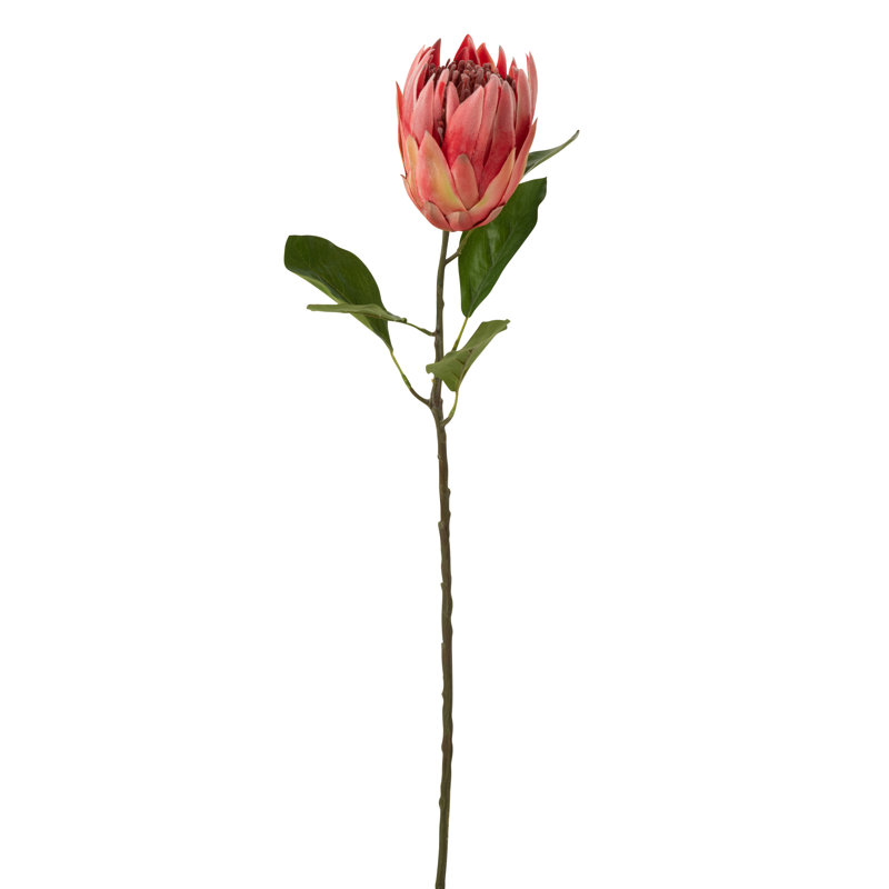 Protea Arrangement, Red