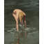 Shell Seeker