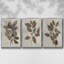 3 pièces Arbor-97758244-97758251