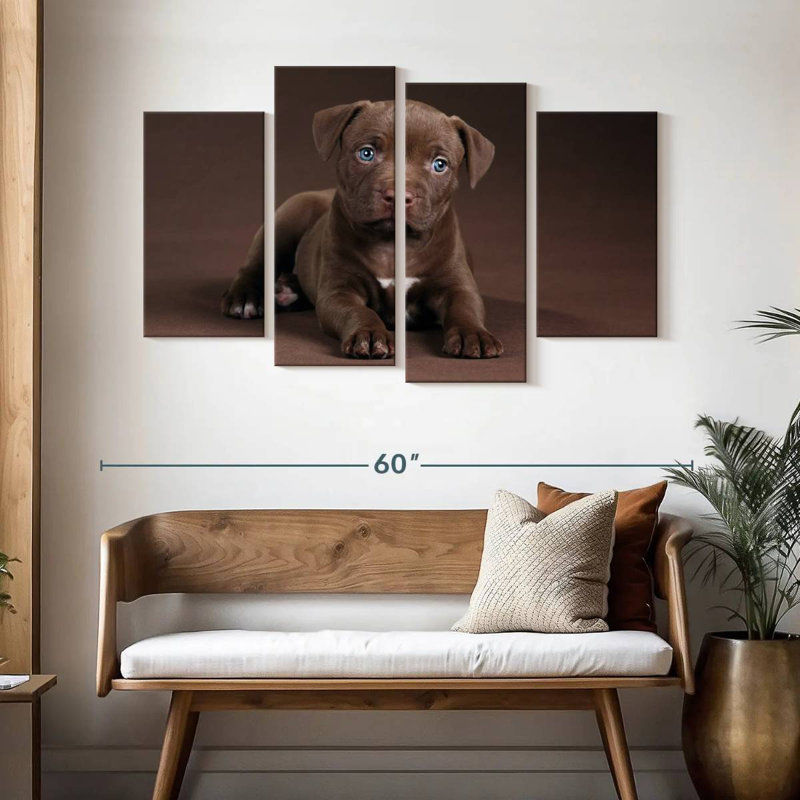 Chiot Brampt Pit Bull, H 32 po x l 52 po