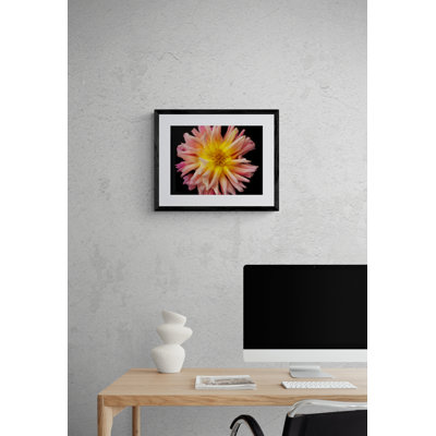 Dahlia par Harold Davis