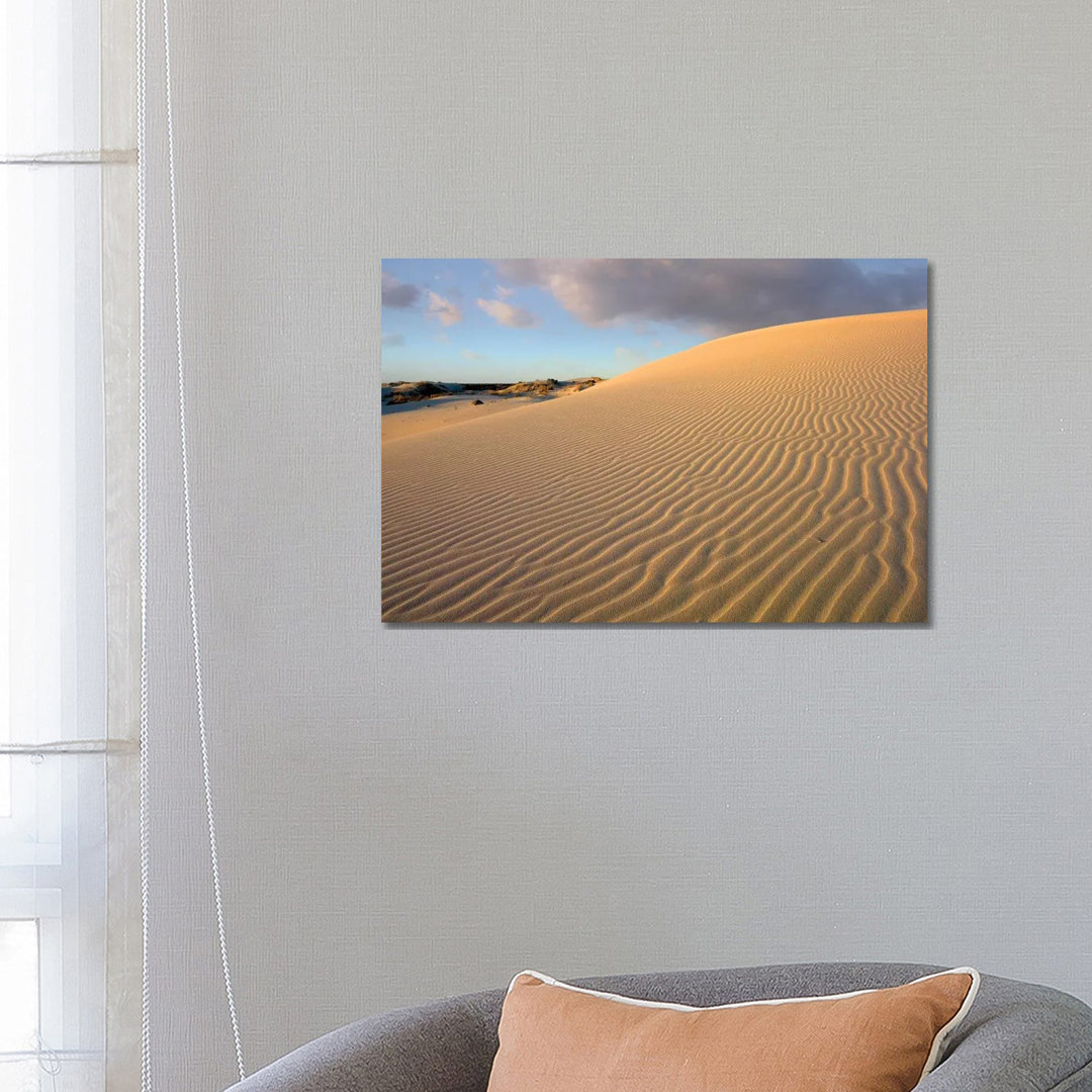 Sanddüne, Monahans Sandhills State Park, Texas von Tim Fitzharris - Galerie-umwickelte Leinwand Giclée ohne Rahmen auf L...