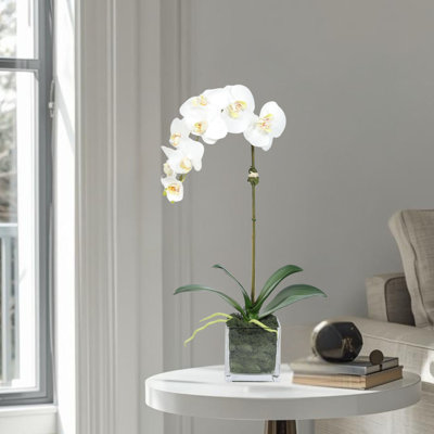 Orchid Arrangement In Square Glass Vase
