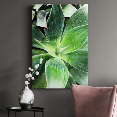 " Green Tropical Succulent IV "