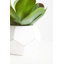 24cm Faux Succulent Plant in Concrete Pot