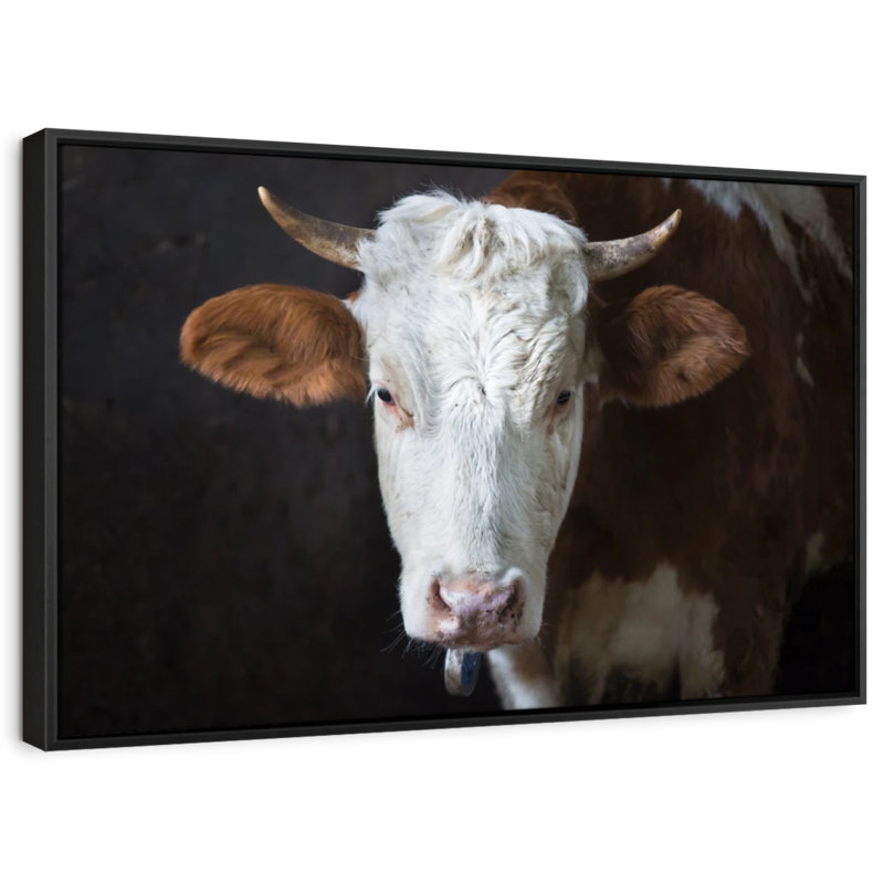 Animal «Serious Cow Face Canvas Print», H 9 po x l 13 po