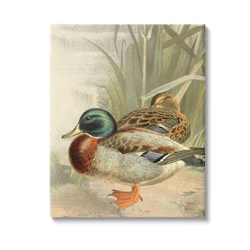 «Pond Ducks Relaxing» par Gail Fraser sur toile, H 48 po x l 36 po