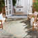 Danya Aqua/Cream Indoor/Outdoor Area Rug