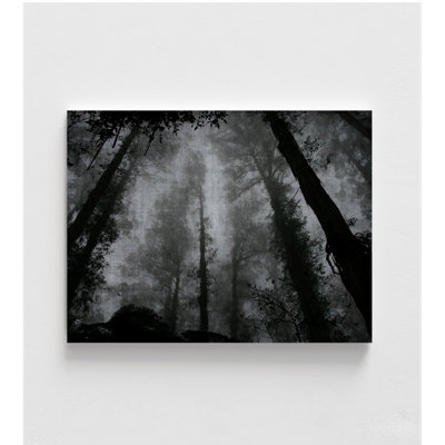 Trees And Clouds 2 By Denise Forest Photography Print, Tall Tree Wall Art, Nature Woods Picture,Extra Large Lobby Art