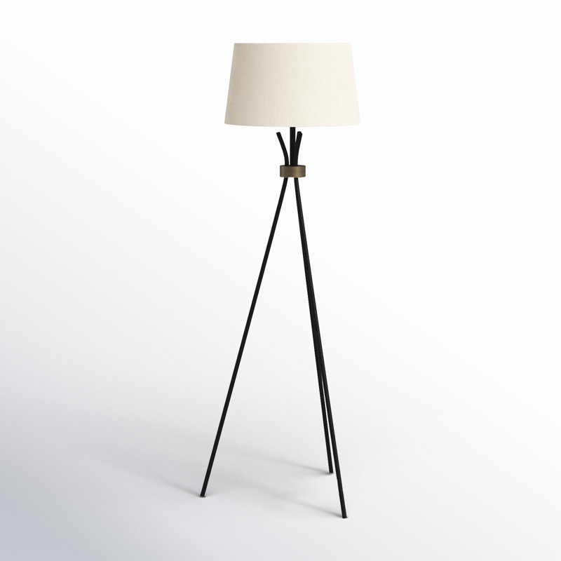 Carmine 60'' Matte Black/Antique Bronze Tripod Floor Lamp