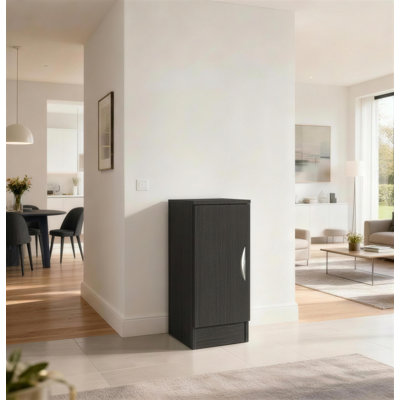 Shatzer 1 -Shelf Storage Cabinet