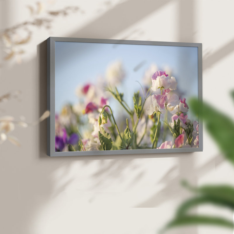 Pétales de printemps - impression encadrée - réarmable, H 22 po x l 28 po, Gris