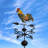Brayla 48 in. H Animals Weathervane